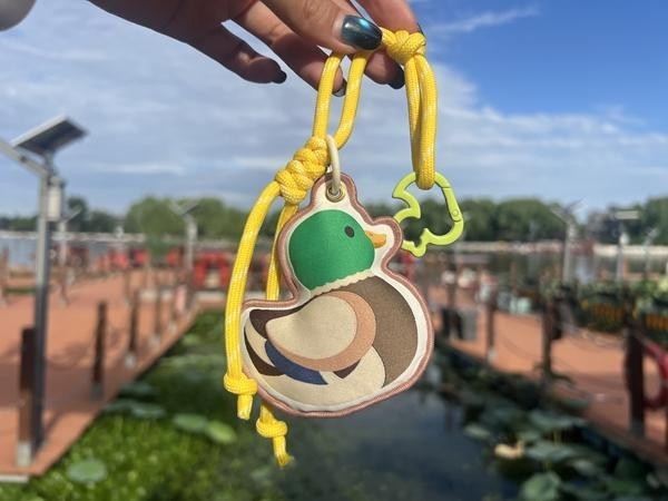 W020251113247290111724.jpg W020251113247290111724.jpg