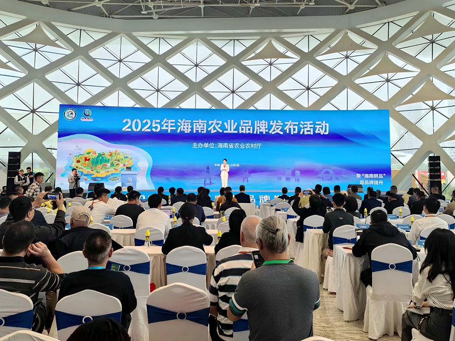 24adaa0c-336d-4005-b9d6-1413f0788ce0.jpg 24adaa0c-336d-4005-b9d6-1413f0788ce0.jpg